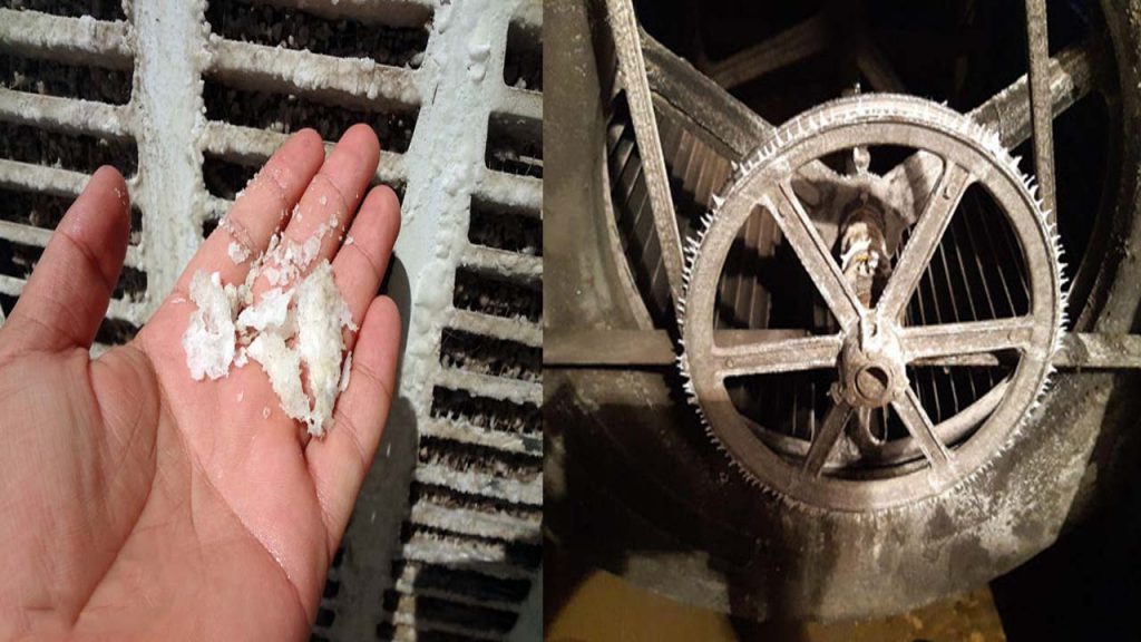 جوش شیرین برای کولر