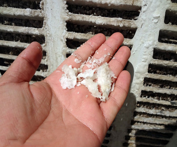 رسوب و شوره کولر آبی