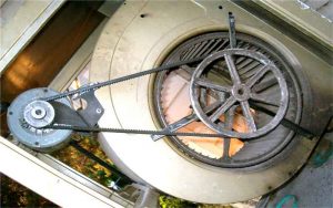 تسمه پروانه