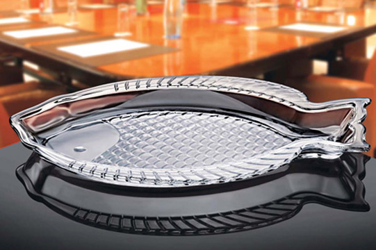 دیس ماهی‌خوری را چگونه انتخاب کنیم؟