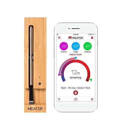 دماسنج بیسیم Meater+