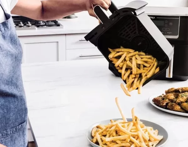 Functional settings of diet fryer that you should know