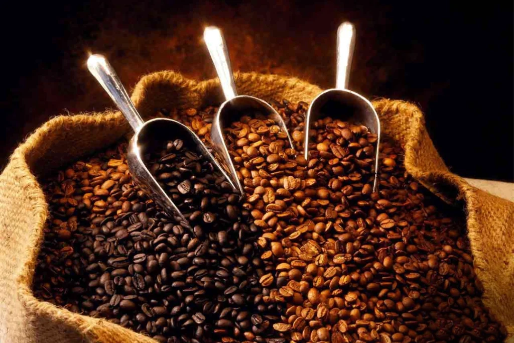 تفاوت قهوه اسپرسو و فرانسه